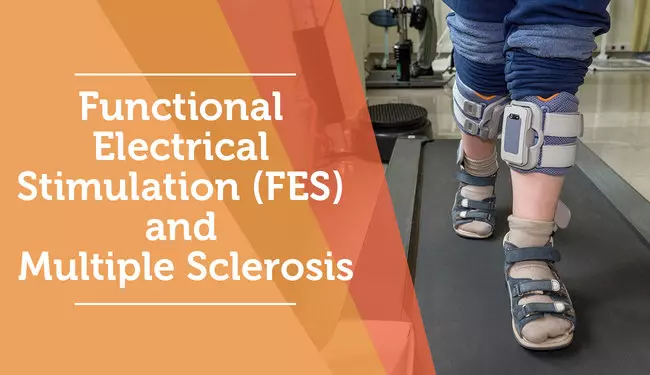 Functional Electrical Stimulator
